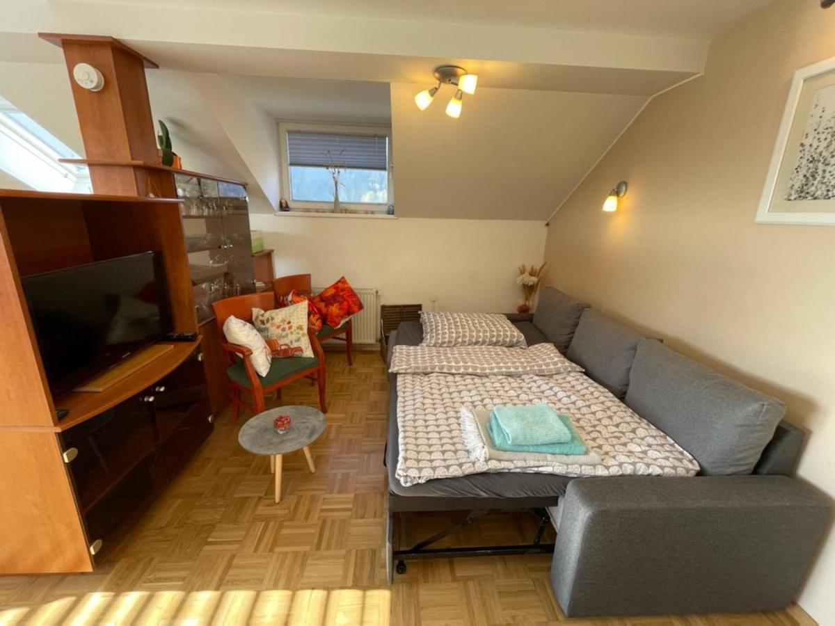 Apartment Kranj - Huge Terrace, Free P, Wi - Fi, Ac Ngoại thất bức ảnh