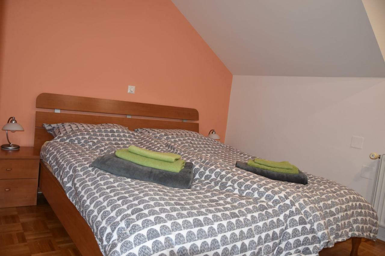 Apartment Kranj - Huge Terrace, Free P, Wi - Fi, Ac Ngoại thất bức ảnh